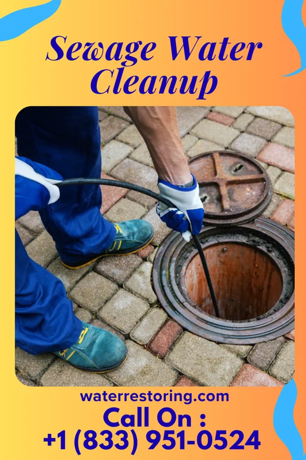 Sewage Water Cleanup in Fernan Lake Village, ID